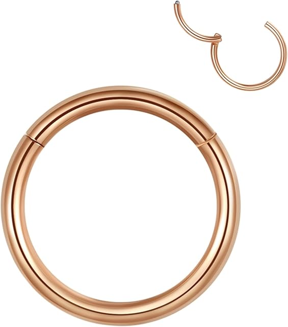 Popuhoops Hypoallergenic Hinged Hoop Nose Rings 20G 18G 16G 14G 12G 10G 8G Diameter 5mm to 16mm 316L Surgical Steel Septum Ring Body Piercing Jewelry Nose Helix Cartilage Rook Earrings
