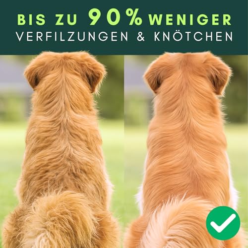Hundebürste Unterwolle für Langhaar - 100% Naturborsten - Made in Germany - sanfte Unterfellbürste zum Entfilzen & Glätten ohne Ziepen - geölter FSC® Holzgriff + extra Bürstenreiniger