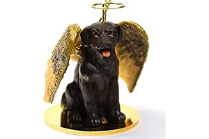 Chocolate Lab Keepsake