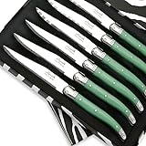THIERS IFORGE   Coffret de 6 Couteaux à steak laguiole ABS de couleur verte