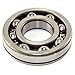 Omix-Ada 18881.01 Manual Transmission Input Shaft Bearing