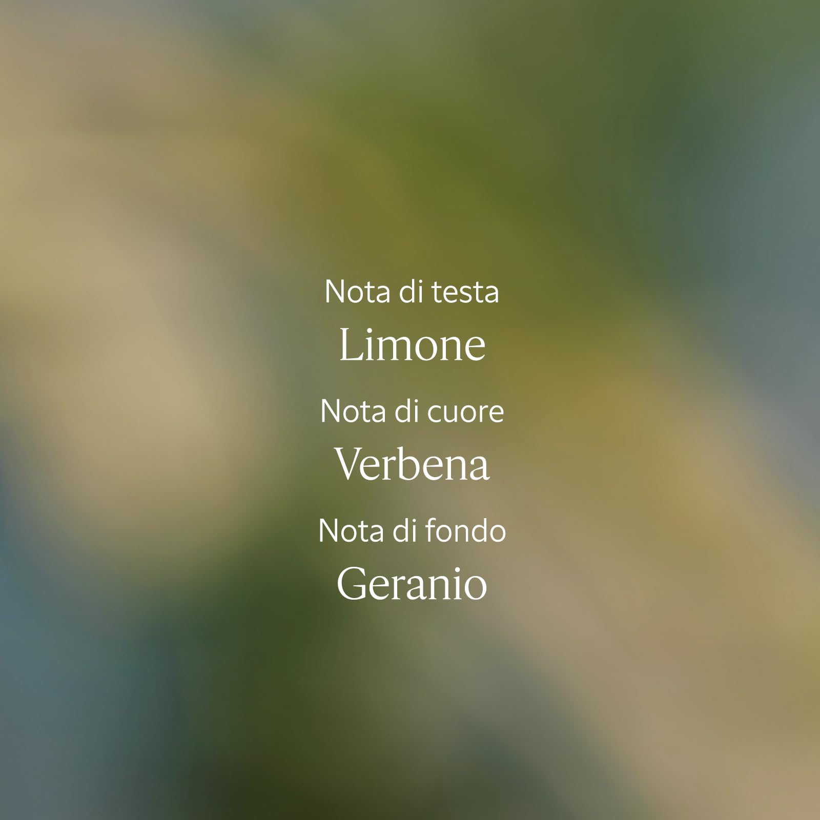 L'OCCITANE - Cofanetto regalo Routine Corpo Verveine (Verbena)