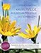 Krebs: Wege aus der lauten Stille des Schweigens: Persönliche Berichte von Krebsbetroffenen und ihnen nahestehenden Menschen - ein Mutmachbuch (MUT-MACH-BÜCHER bei Krebs)