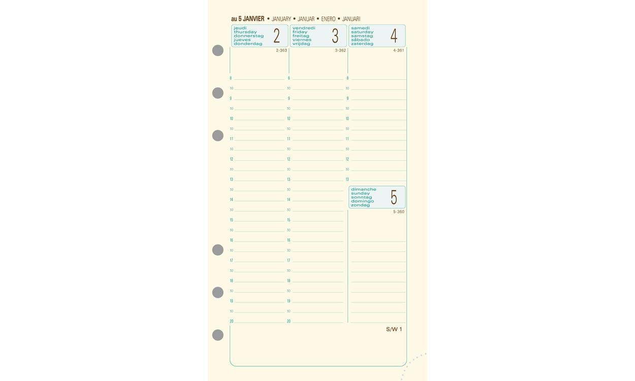 Exacompta Exatime 17 Light Philae January 2017 Organiser With January