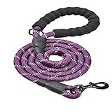 JBYAMUS 5 FT Strong Dog Leash with Comfortable Padded Handle and Highly Reflective Threads for Medium and Large Dogs (5-FT, Purple)