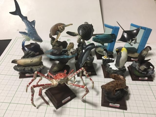 Amazon.co.jp: 海遊館 ミュージアム ネイチャーテクニカラー 