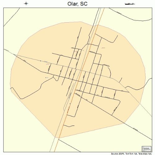 Large Street & Road Map of Olar, South Carolina SC Printed poster size wall atlas of your home