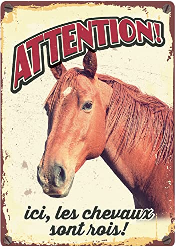 plenty gifts Plaque métal Vintage Ici Les Chevaux sont Rois Cover