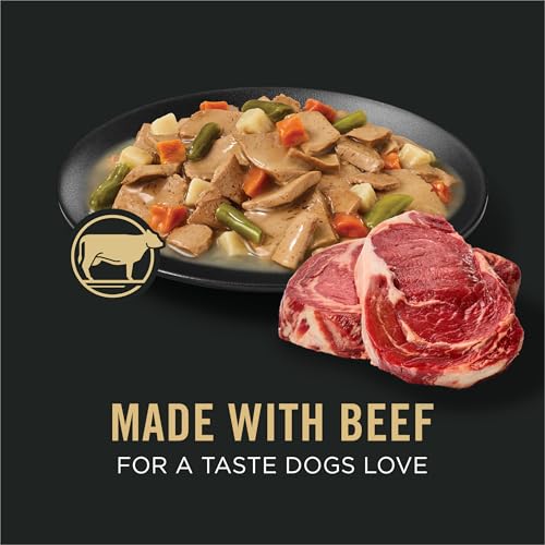 Image of Purina Pro Plan Complete Essentials Wet Dog Food in Gravy, (12) 13 oz | Beef & Vegetables Entree, high protein dog food helps build lean muscles, nourishes healthy skin and coat, adult