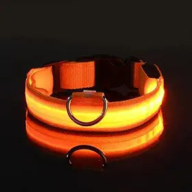Coleira LED para Cães Recarregável por USB – Ajustável, Visível à Noite, Alta Segurança para Passeios (Laranja, G)