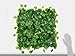 Catral 43040002 - Losetas de jardin vertical Nius, 50 x 50 cm,...