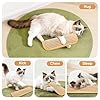 PetZen Garden Sisal Catnip Pillow Toy Kickers, 2 Pack Interactive Catnip Toys with Organic 8000mg Herbal Blend for Indoor Scratching, Chewing & Teething, Fun for Kittens and Adult Cats #1