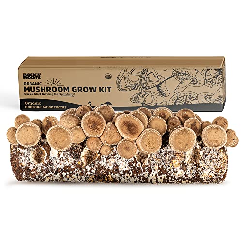 Back to the Roots Organic Mini Mushroom Grow Kit, Harvest Gourmet Oyster Mushrooms In 10 days, Top Gardening Gift, Holiday Gift, & Unique Gift