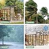 GarveeHome 6X8 FT Greenhouse, Walk-in Greenhouse Kit with Aluminum Frame, Polycarbonate Panels, Adjustable Roof Vent, Sliding Door, Secure Lock for Outside Garden, Patio, Backyard #5