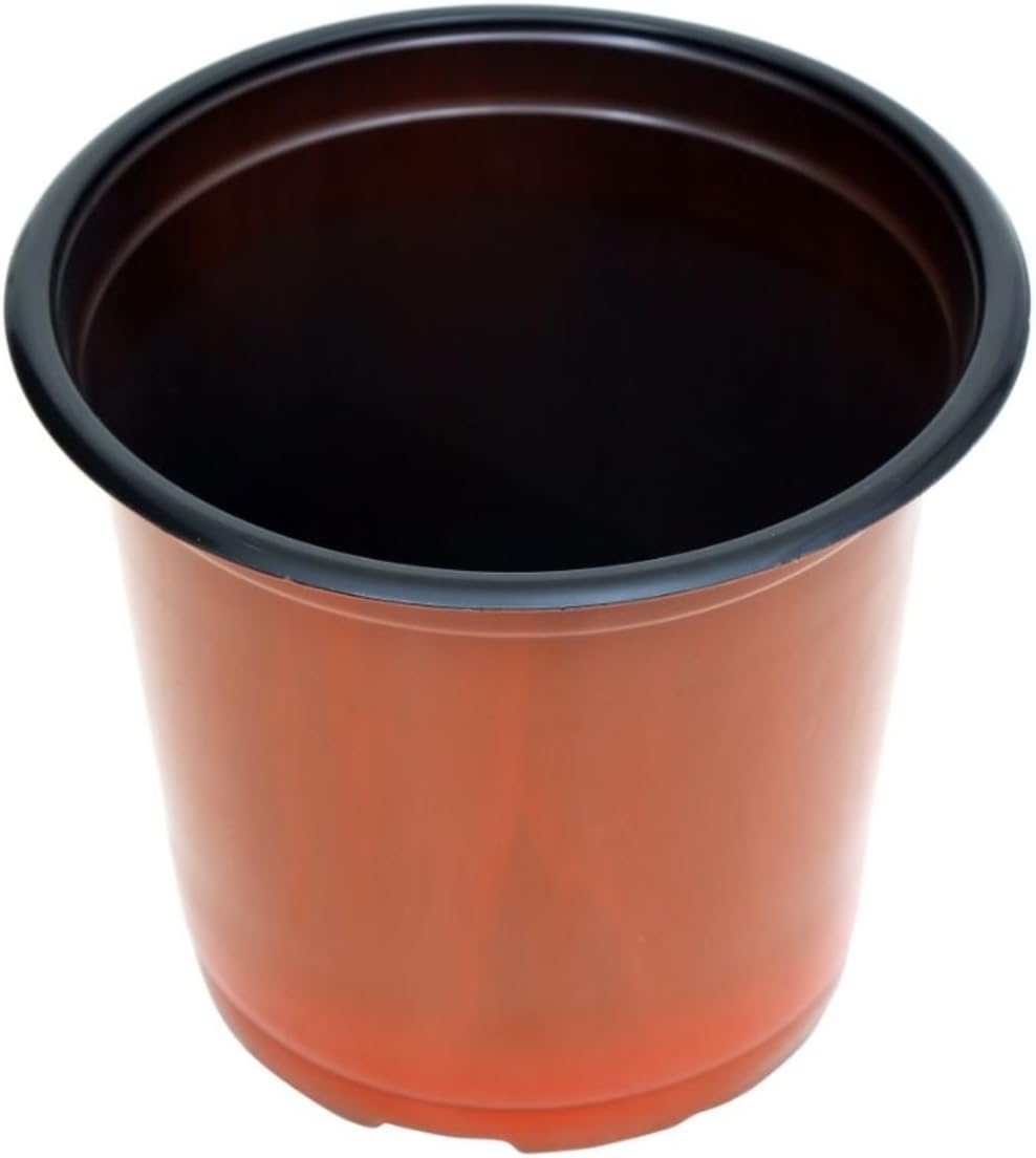 A SARO Polypropylene Gardening TF Flower Pots (Brown, 5'' Inch) - 100 Pieces