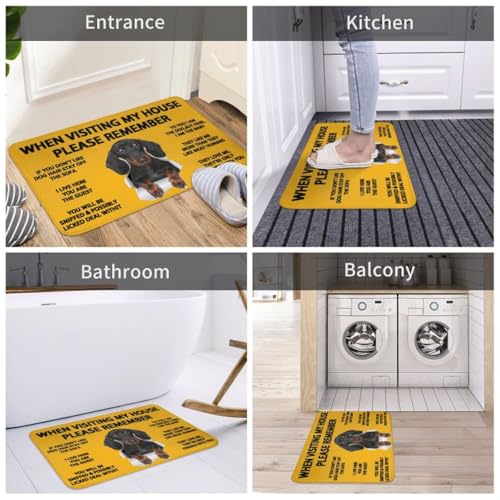 Paillassons pour entrée Teckel contre la boue tapis extérieur antidérapant - 6