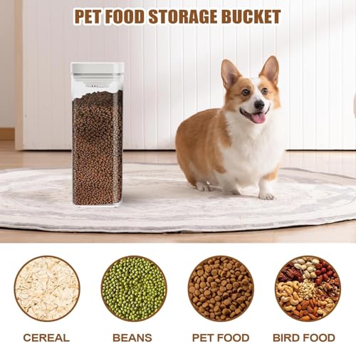 Friandises pour chats préservées dans un bocal sans odeur