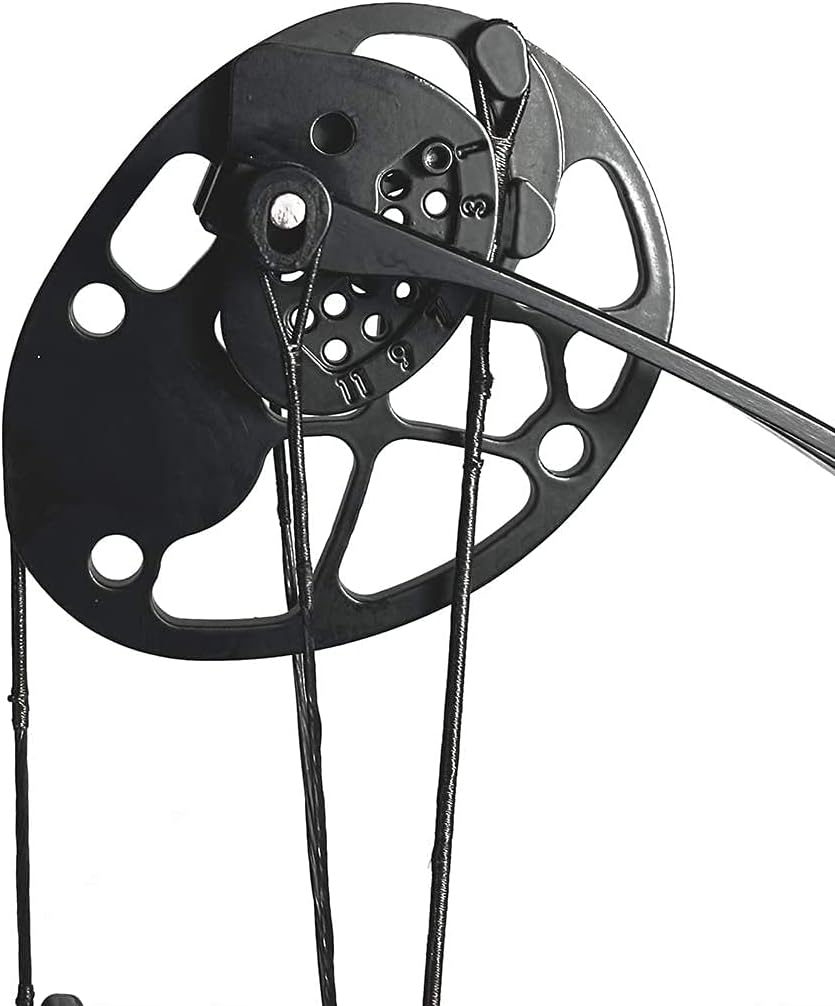 Up To 40% OFF Wasp Youth Compound Bow for Hunting and Beginner Junior Complete Set Right Handed