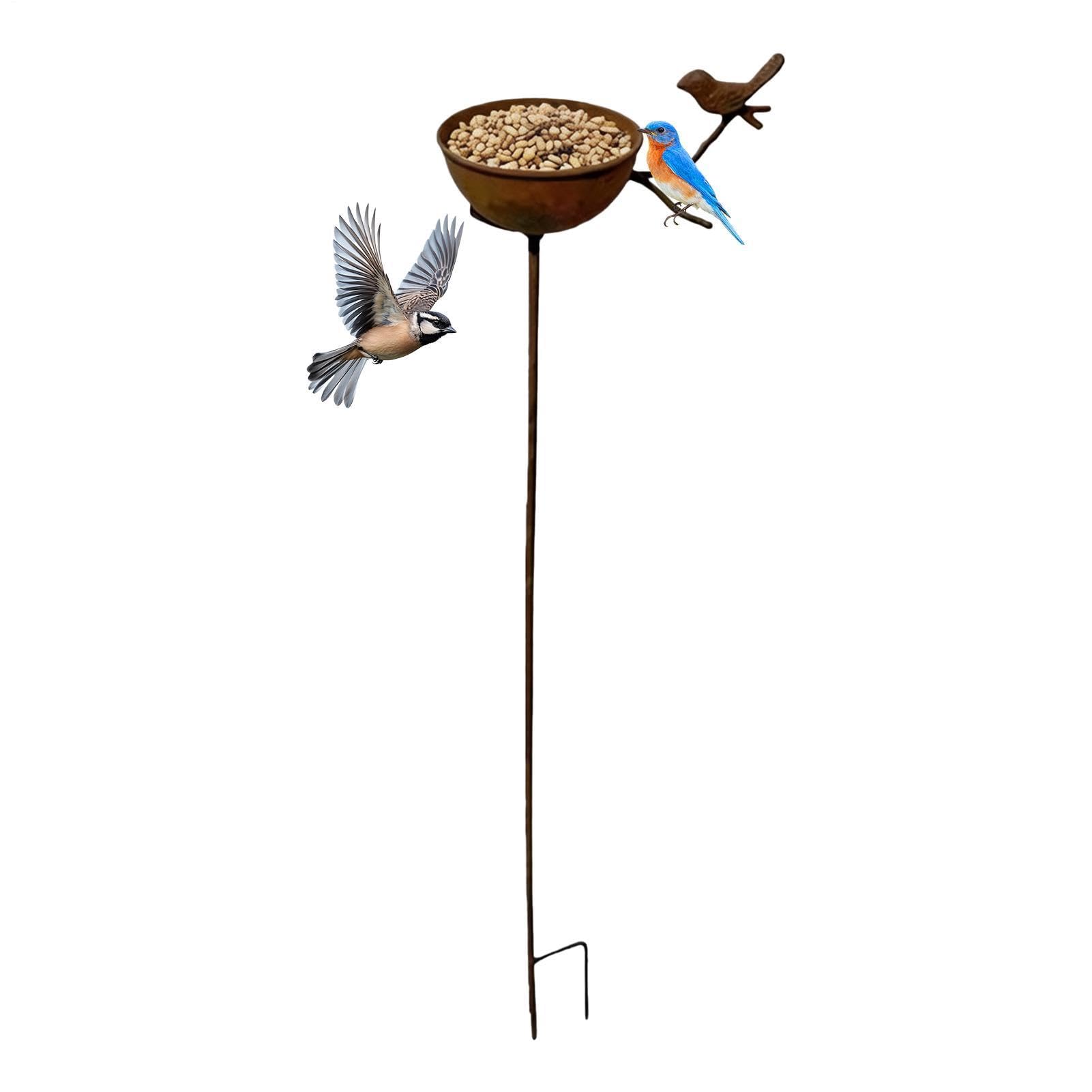 Baño de pájaros de exterior de metal para atraer fauna silvestre y refrescar su jardín seco