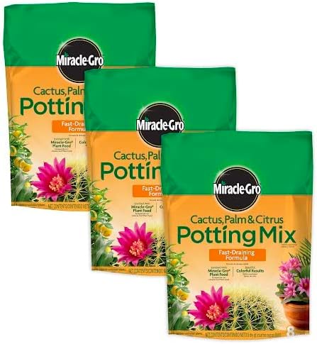 Miracle-Gro Cactus, Palm and Citrus Potting Mix, For Indoor or Outdoor Container Plants, Great for Succulents, 8 qt., 3-Pack