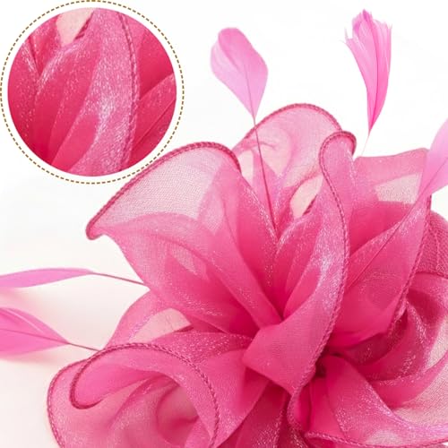 Image of DRESHOW Fascinators Hat Tea Party Headwear Ribbons Feathers on a Headband and a Clip for Women