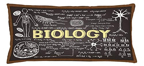 ABAKUHAUS educativo Federa Fodera Cuscino