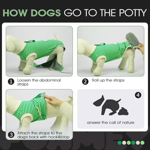 Image of FUAMEY Dog Recovery Suit Male,Dogs Surgery Neuter Suits Puppy Spay Shirts for Female Protect Dog's Skin Anti Licking Abdominal Wounds Doggie Onesie Pet Bodysuit Alternative to Cone Green Stripes XS