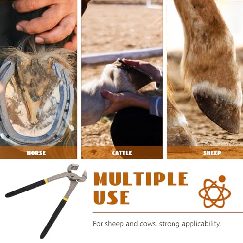 Pince à parer les sabots au quotidien dans votre écurie pour moutons et chevaux