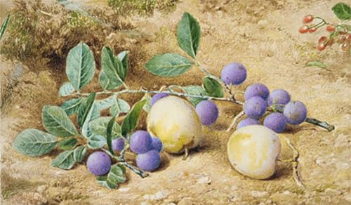 Tableaux sur toile Prunes John William Hill 60x90cm pour mur