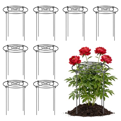 YHLYUZZ Peony Cages and Supports 8 Pack 12x16 Inch Heavy Duty Metal Plant Cage for Outdoor Plants Grow Through Flower Support Rings for Peonies Roses Tomatoes & Hydrangeas