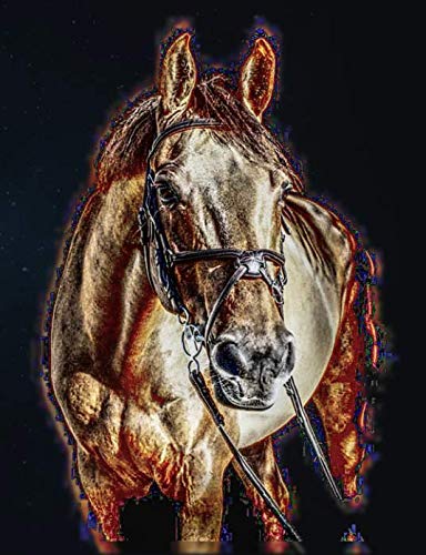 College Ruled Notebook for Equestrian: Sport Horse Aglow in Space Drawing Pad and Journal for Equestrians (Equestrian Sports Notebooks for Spring 2019)