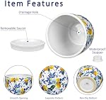 5.3+4.3 inch Ceramic Plant Pots, Set of 2 Blue and White Plant Pot with Drainage Holes and Saucers Small Lemon Indoor Planters Decorative Flower Pots for Succulents, Cacti, Snake Plants, and Herbs
