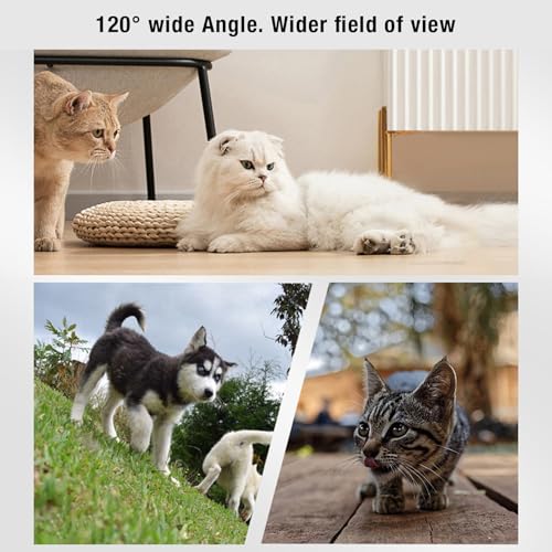 Coleira de Câmera para Gato 1080P, Câmera Corporal Grande Angular de 120° para Gatos, Mini Câmera pa