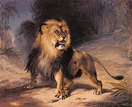 Tableau lion bête animal William John Huggins art célèbre peinture huile sur toile