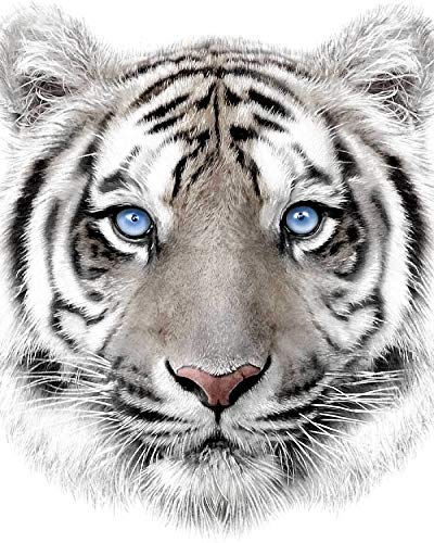 Jerry Fabrics Kuscheldecke Microfaser Flauschdecke weißer Tiger 120 x 150 cm