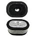 HIPA (Pack of 2 ) Air Filter Cleaner L x W x H: 4-1/8" x 3-1/8" x 1-11/16" for STIHL 044 046 064 066 084 088 MS440 MS441 MS460 MS640 MS660 MS780 MS880 Chainsaw