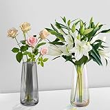 Glass Flower Vase Modern Decorative Iridescent Clear Large Vases Set of 2 for Home Office Decor (Neo