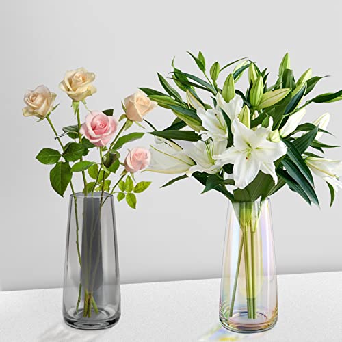 Glass Flower Vase Modern Decorative Iridescent Clear Large Vases Set Of 2 For Home Office Decor (Neon Clear & Crystal Grey) #TOP10