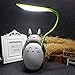 Totoro Figura, Anime japonés mi Vecino Totoro espíritu lejos Figuras Totoro estatuilla con lámpara de Noche luz Estatua Modelos muñecas para casa jardín decoración niños Regalo,Whitebelly