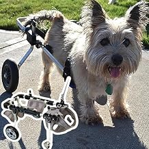Wheelchair for Dogs,Front Back Wheels Dog Wheelchair Fit All Terrain All/Medium/Large Pet Mobility Aid Wheel Chair Adjustable,Arthritis Doggy Trolley Walk ToolsSmall