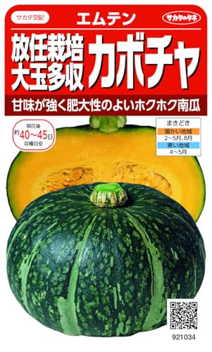 �T�J�^�̃^�l ������1034 �J�{�`�� ���C�͔|��ʑ����J�{�`�� �G���e��