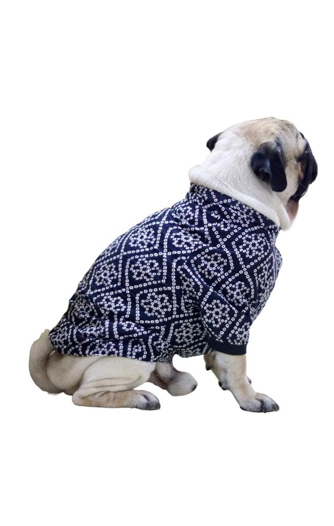 Elegant Dog Kurta: The Perfect Canine Attire for Festive Celebrations (M, Black) (B0CLVNWB33) Amazon Price History, Amazon Price Tracker