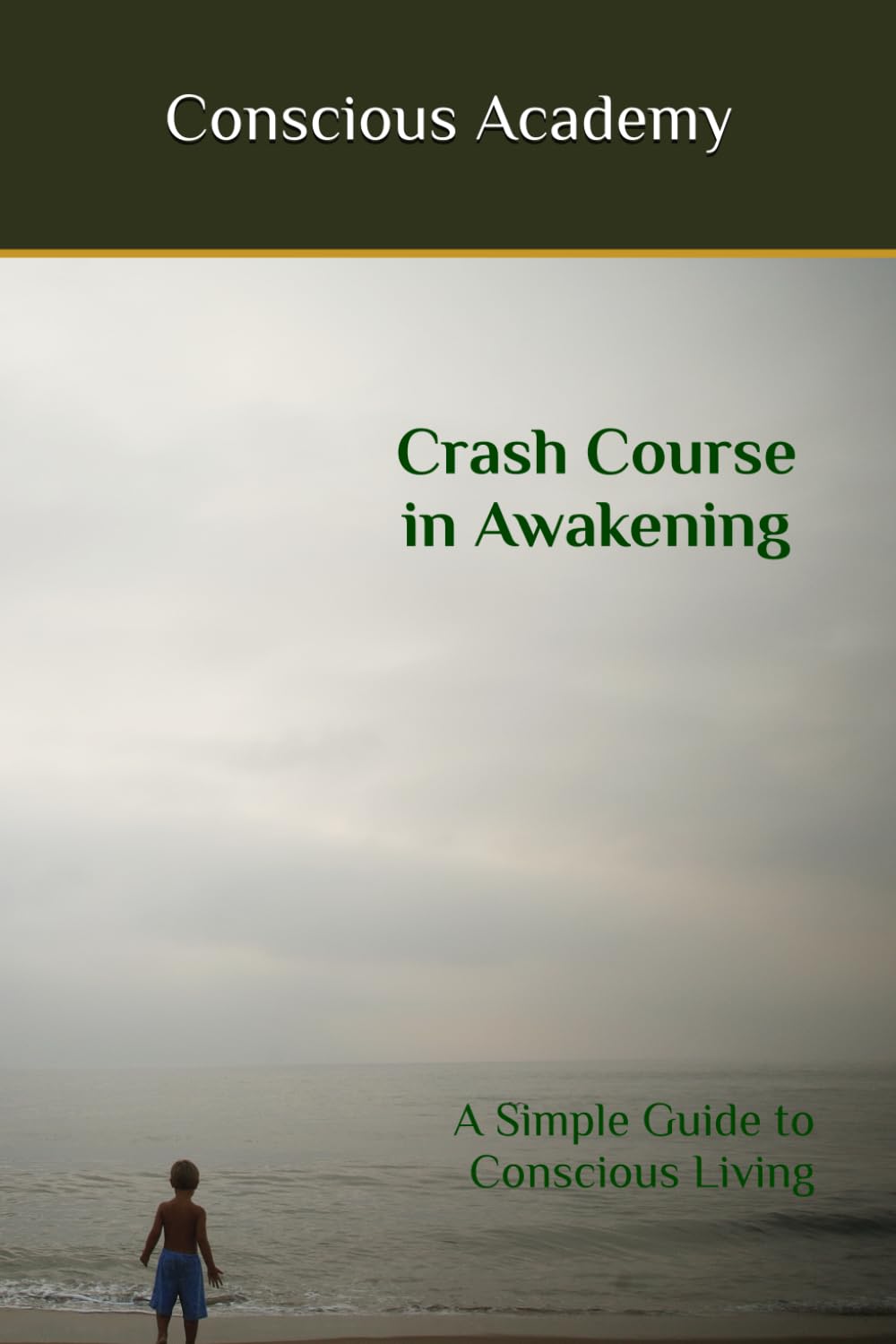 Crash Course in Awakening: A Simple Guide to Conscious Living (The Consciousness Series)