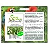 Stk – 10x Chlorophytum krookianum Berg Grünlilie Garten Pflanzen – Samen ID864 – Seeds Plants Shop Samenbank Pfullingen Patrik Ipsa