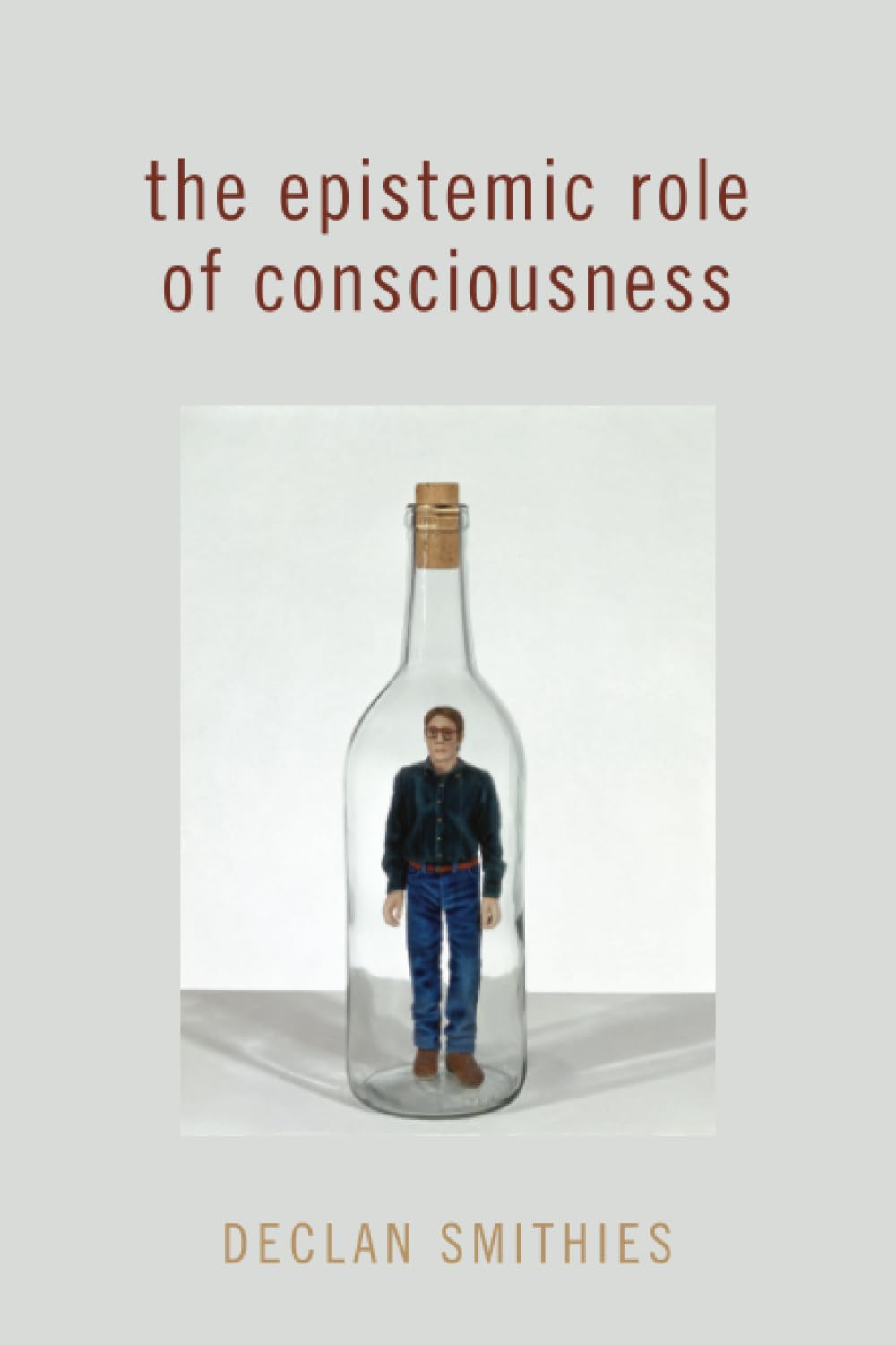 The Epistemic Role of Consciousness (PHILOSOPHY OF MIND SERIES)