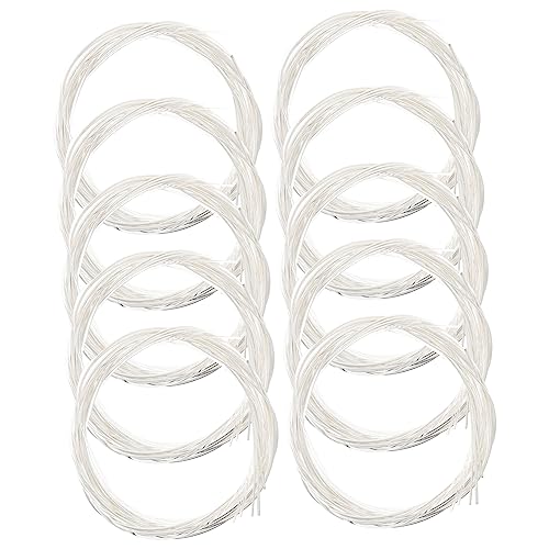 Alasum 10قiCM^[ p tH[NM^[ ϋv̂