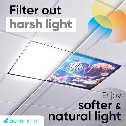 Image of Light Covers for Ceiling Lights Classroom - Magnetic Ocean Cover for Fluorescent Or LED Fixture - Must Haves for Teacher Supplies - Home, Office Cubicle Decor - Calming Overhead Lighting