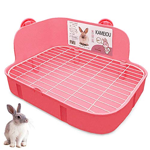 25 Best Hedgehog Litter Boxes and Pans of 2020 (Reviews & FAQs)