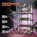 Bstrip Indoor Greenhouse with Grow Lights, 4 Tier 27.2