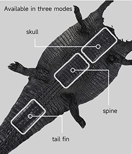 Luxury 3D Crocodile Pattern Leather Phone Case For Iphone 11 12 13 14 Pro Max 12 Mini Xr X Xs 6 6S 7 8 Plus Se 2020 Luxury Back Cover,Skull,For Iphone 14 Pro #TOP5